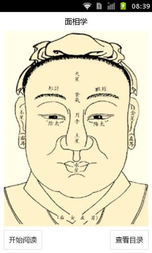 面相知識 physiognomy - 眉毛